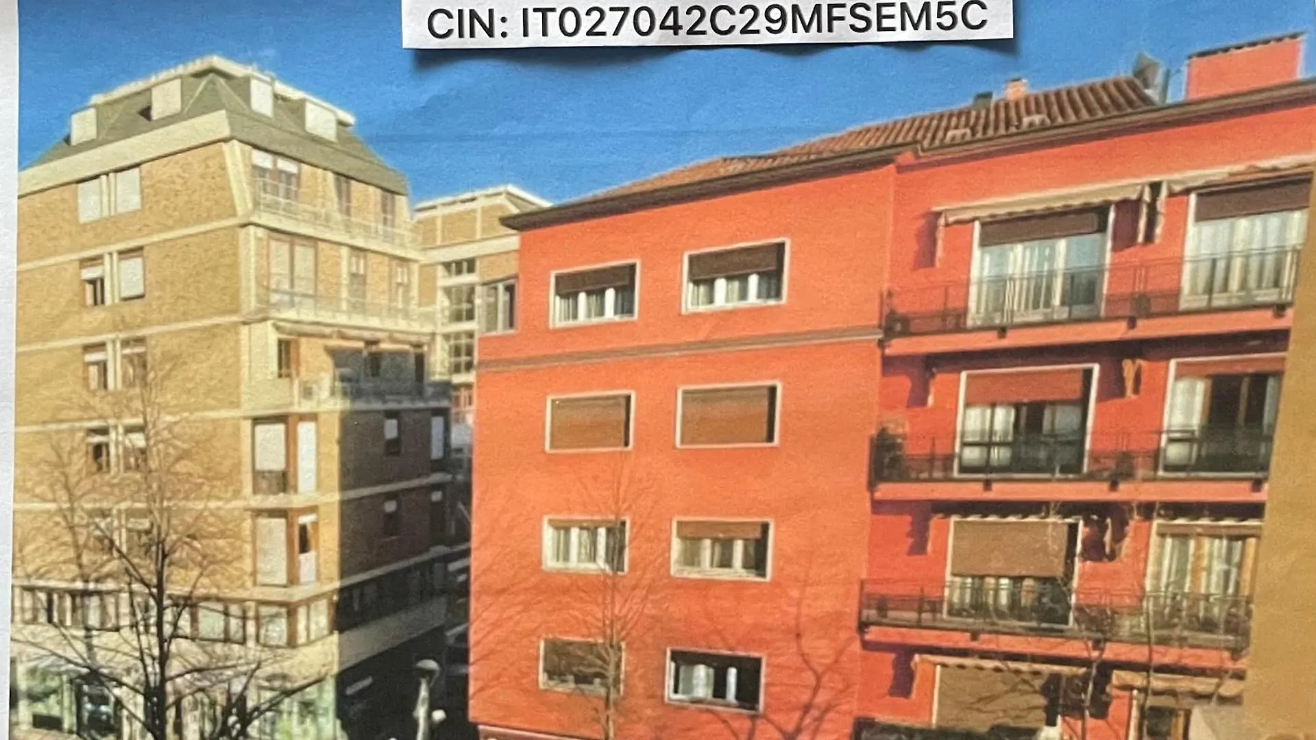 Bellaolly location